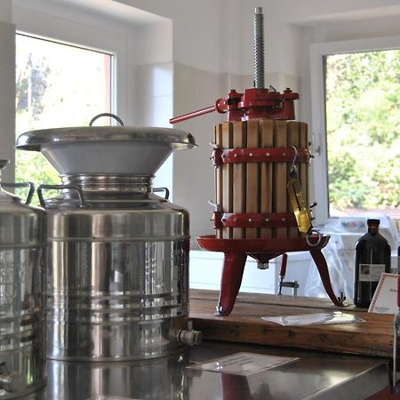 Ca' Dei Fazzilisti Bed & Breakfast Mori Luaran gambar